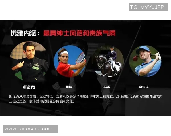 上海网球队技术表现深度分析与数据洞察探讨